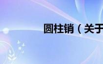 圆柱销（关于圆柱销简介）