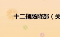 十二指肠降部（关于十二指肠降部）