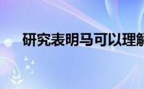 研究表明马可以理解并记住人类的情感