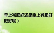 早上减肥好还是晚上减肥好（到底是早上减肥好还是晚上减肥好呢）