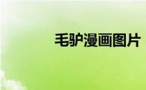 毛驴漫画图片（驴小毛漫画）