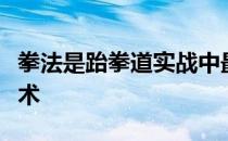 拳法是跆拳道实战中最基本而又非常重要的技术