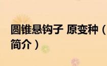 圆锥悬钩子 原变种（关于圆锥悬钩子 原变种简介）