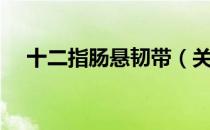 十二指肠悬韧带（关于十二指肠悬韧带）