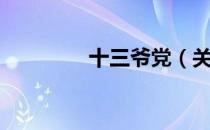 十三爷党（关于十三爷党）