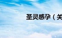 圣灵感孕（关于圣灵感孕）