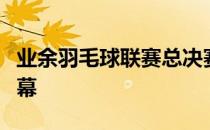 业余羽毛球联赛总决赛在坪山体育中心圆满落幕