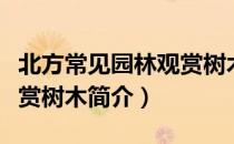 北方常见园林观赏树木（关于北方常见园林观赏树木简介）