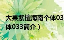 大果紫檀海南个体033（关于大果紫檀海南个体033简介）