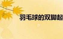 羽毛球的双脚起跳杀球如何使用