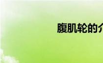 腹肌轮的介绍与使用