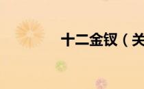十二金钗（关于十二金钗）