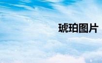 琥珀图片（琥珀网）