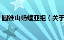 圆锥山蚂蝗亚组（关于圆锥山蚂蝗亚组简介）