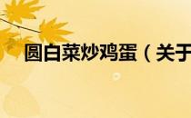 圆白菜炒鸡蛋（关于圆白菜炒鸡蛋简介）