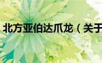 北方亚伯达爪龙（关于北方亚伯达爪龙简介）