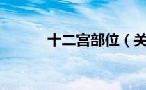 十二宫部位（关于十二宫部位）