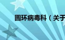 圆环病毒科（关于圆环病毒科简介）