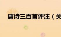 唐诗三百首评注（关于唐诗三百首评注）