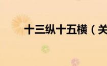 十三纵十五横（关于十三纵十五横）