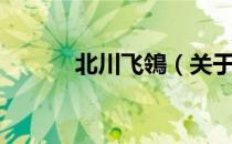 北川飞鴒（关于北川飞鴒简介）