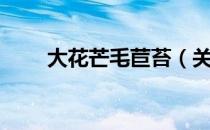 大花芒毛苣苔（关于大花芒毛苣苔）