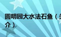 圆明园大水法石鱼（关于圆明园大水法石鱼简介）