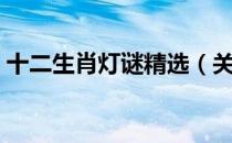 十二生肖灯谜精选（关于十二生肖灯谜精选）