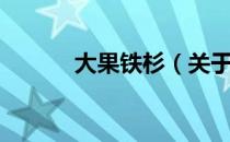 大果铁杉（关于大果铁杉简介）