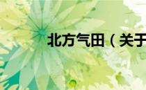 北方气田（关于北方气田简介）