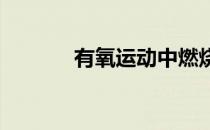 有氧运动中燃烧脂肪的小技巧