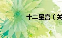 十二星宫（关于十二星宫）