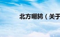 北方嘲鸫（关于北方嘲鸫简介）