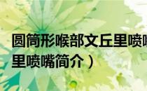 圆筒形喉部文丘里喷嘴（关于圆筒形喉部文丘里喷嘴简介）