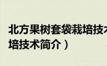 北方果树套袋栽培技术（关于北方果树套袋栽培技术简介）