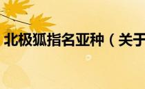 北极狐指名亚种（关于北极狐指名亚种简介）