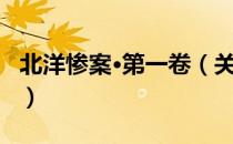 北洋惨案·第一卷（关于北洋惨案·第一卷简介）