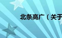 北条高广（关于北条高广简介）