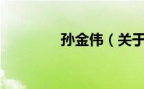 孙金伟（关于孙金伟介绍）