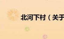 北河下村（关于北河下村简介）
