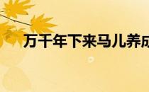 万千年下来马儿养成了站着睡觉的习惯