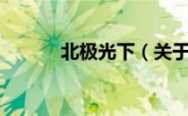 北极光下（关于北极光下简介）