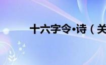 十六字令·诗（关于十六字令·诗）