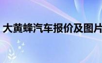 大黄蜂汽车报价及图片（大黄蜂汽车多少钱）