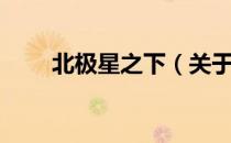 北极星之下（关于北极星之下简介）
