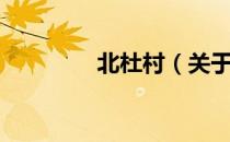 北杜村（关于北杜村简介）