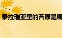 泰拉瑞亚里的苔原是哪（泰拉瑞亚苔原在哪）