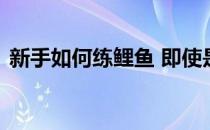 新手如何练鲤鱼 即使是新手也可以轻松练习