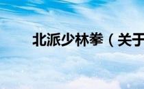 北派少林拳（关于北派少林拳简介）