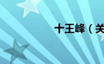 十王峰（关于十王峰）